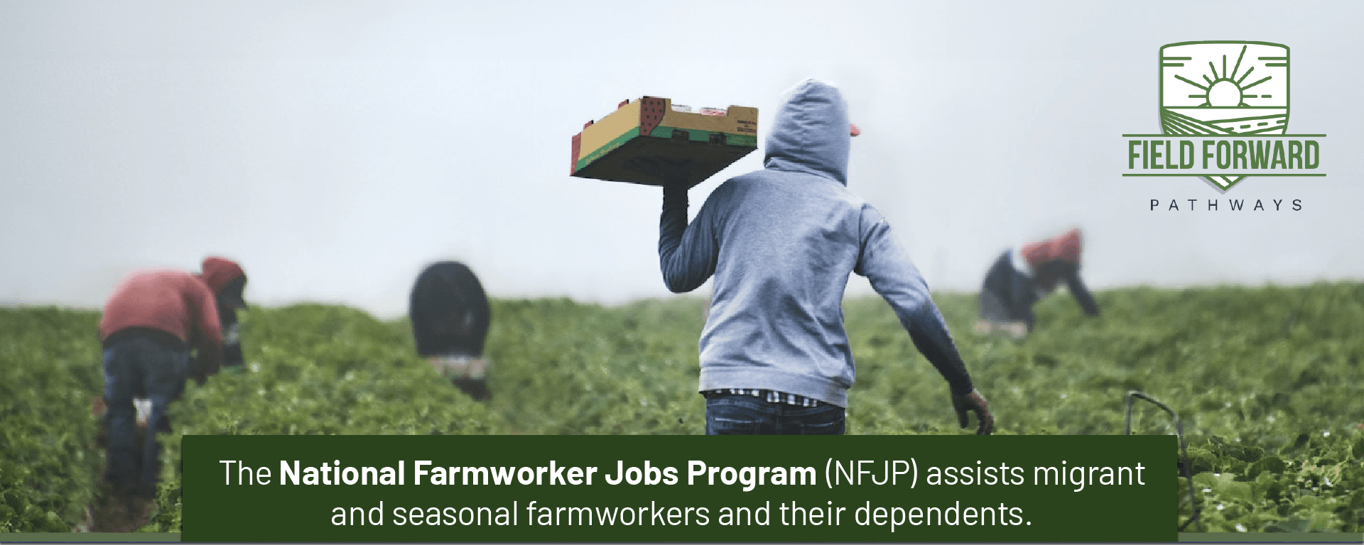 Image of Farmworkers